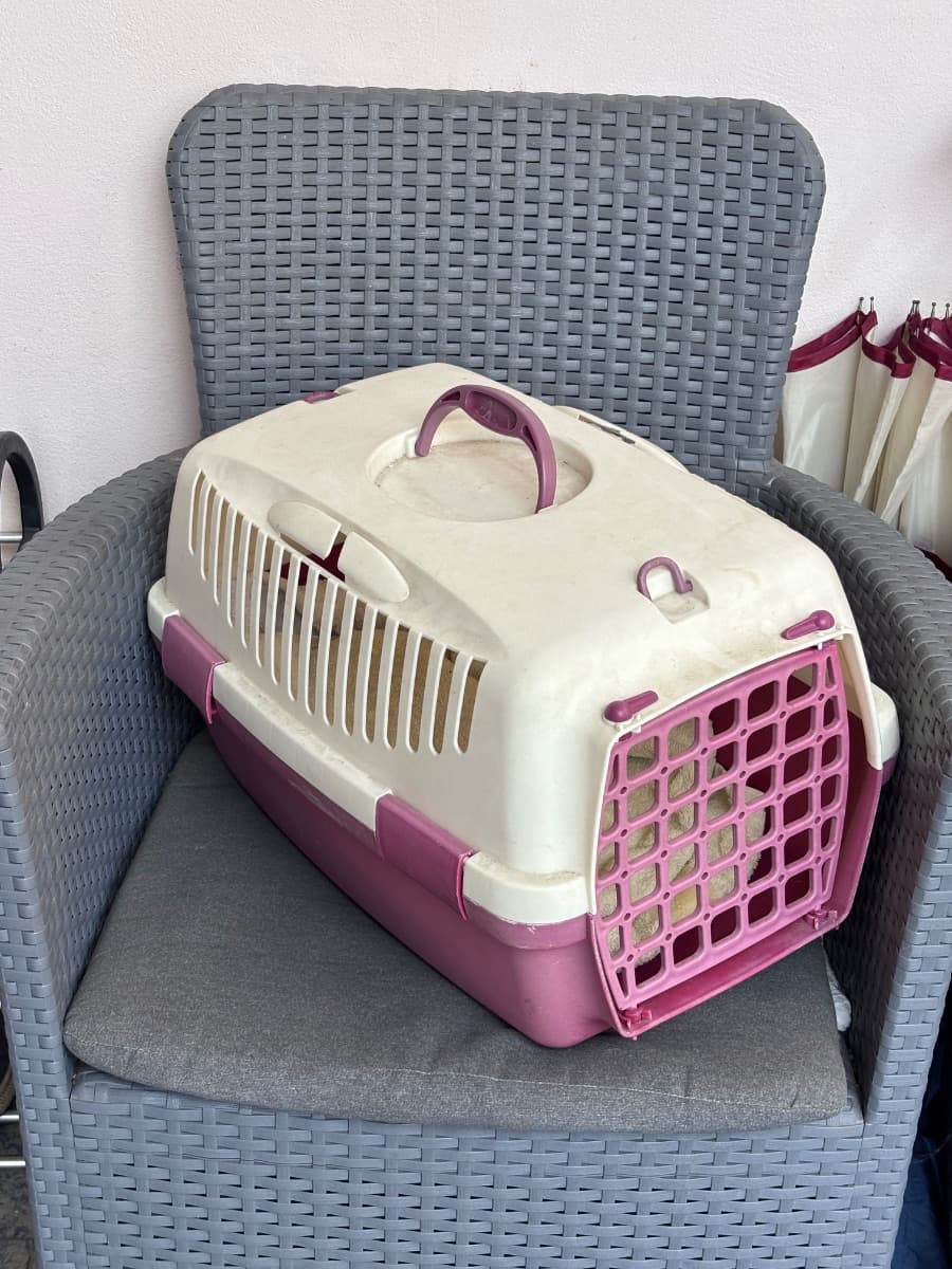 Trasportino per animali — foto 1